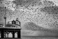 Brighton